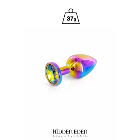 Plug bijou aluminium Rainbow XS - Hidden Eden